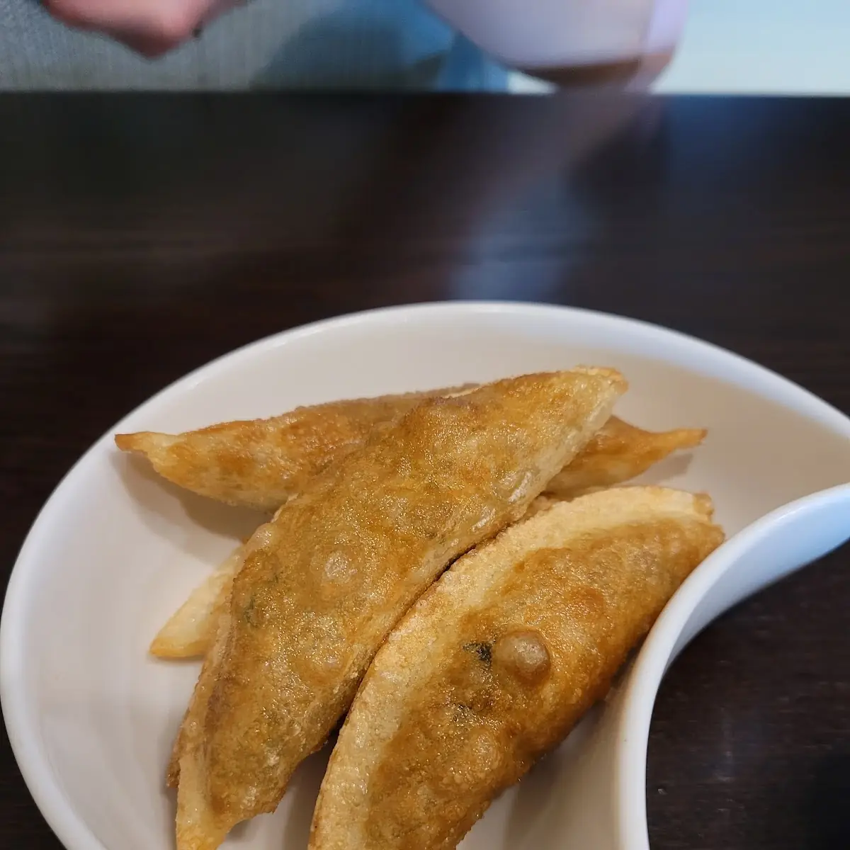 Veggie Gyoza 野菜の餃子